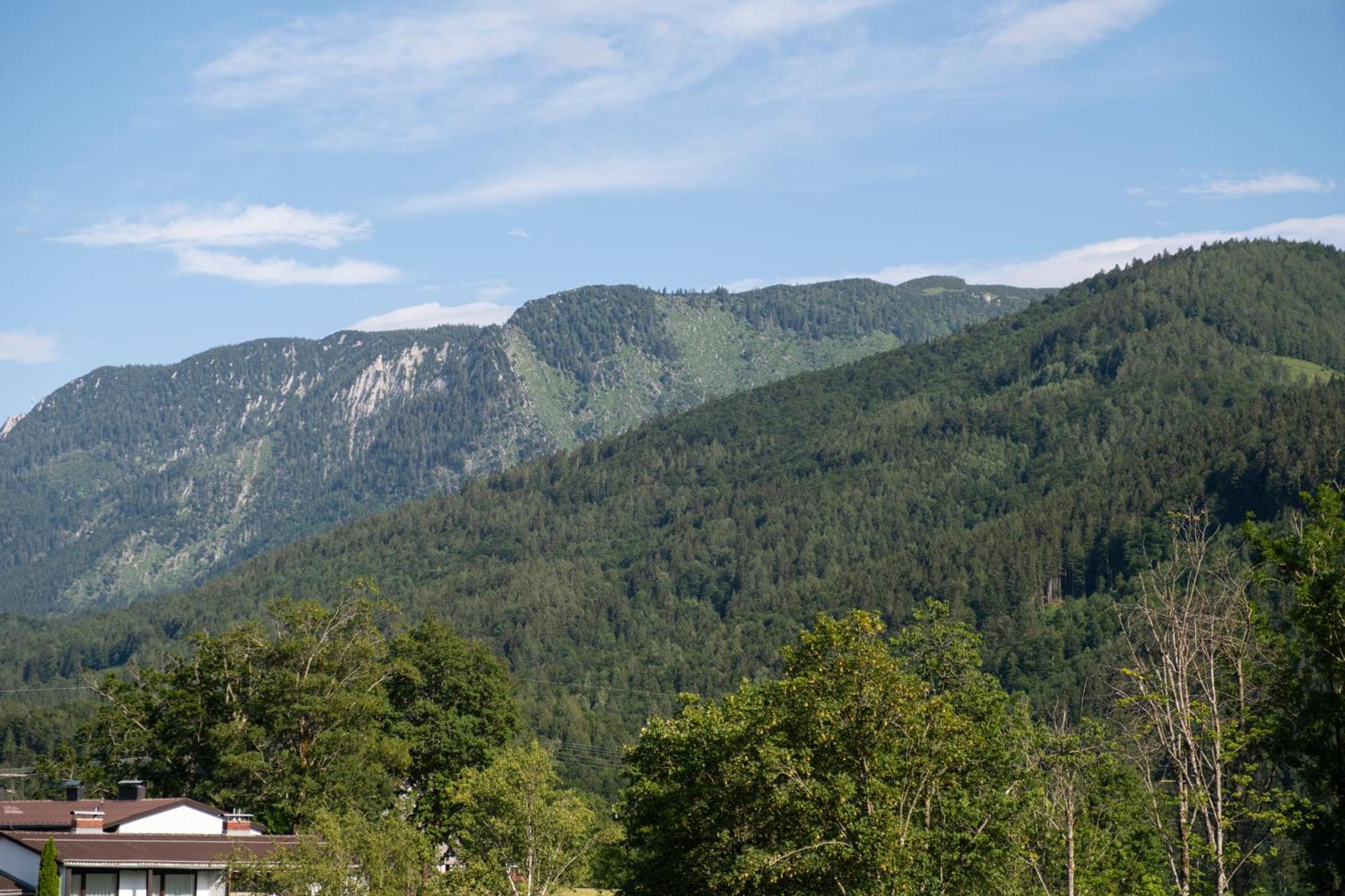 Suite Apartment Modern Getaway - Neu Renoviert - Strobl Am Wolfgangsee Штробль Экстерьер фото